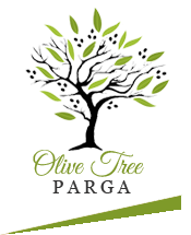 Olive Tree - Parga